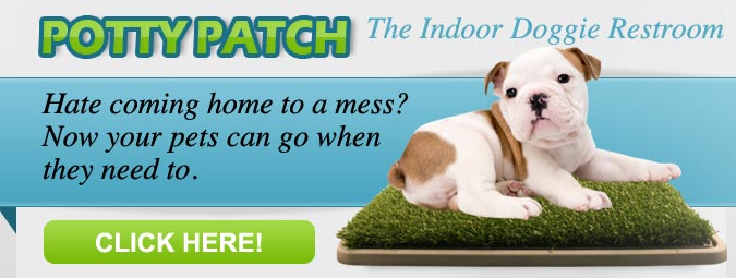 potty patch banner